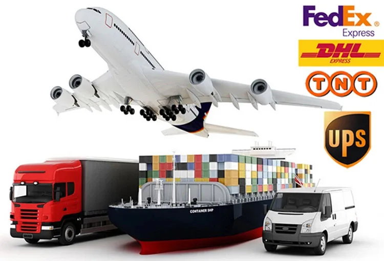 8 12 24 Core Fiber Optical MPO MTP Female Patch Cord 3.0mm Customize Length SM OM3 OM4 Low Loss 5