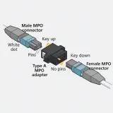High-Performance MPO/MTP Patch Cord 8 Core OS2 Singlemode G657A1 Fiber LSZH Low Loss IL0.3