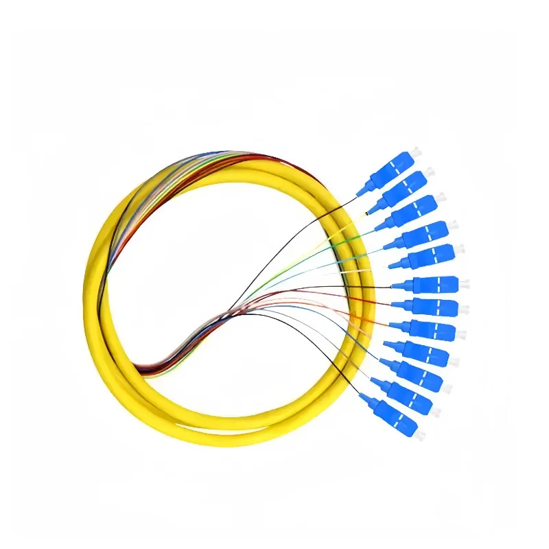 Sc/Apc-Sc/Apc Single-Mode Jumper Fiber Optic Pigtail FTTH Patch Cord Cable 12 Cord for GPON-boxintelecom