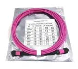 mpo- mpo female connectors Fiber Patch cord 12 fiber Multi-mode OM3 mpo 30m otical fiber p