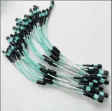 MPO/MTP Fiber Patch Cord 12/24 Core| Low Loss OM3/OM4/OS2 Trunk Cable| MPO to LC/SC Breako