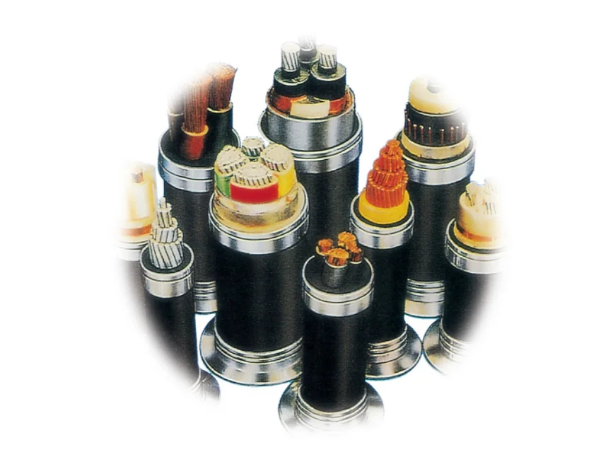 Jiangnan National Standard Copper Core Cable ZR-RVV2 3 45 Core 10 16 25 35 Square Sheath Wire Power-boxintelecom