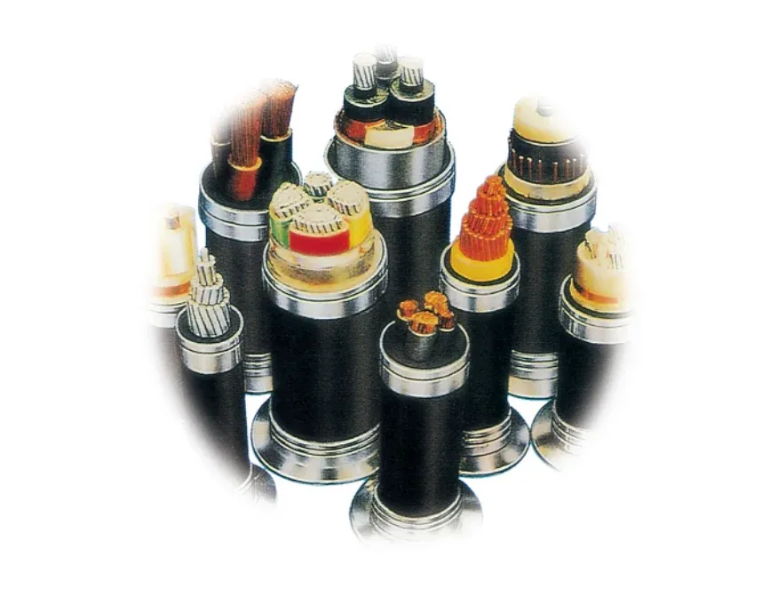 Jiangnan National Standard Copper Core Cable ZR-RVV2 3 45 Core 10 16 25 35 Square Sheath Wire Power-boxintelecom