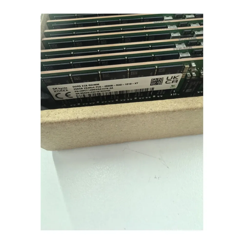 Brand New Best Selling Hynix 256GB DDR5 PC5-4800B Memory Module HMCT14MEERA147N for Server