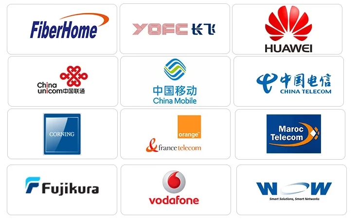 8 12 24 Core Fiber Optical MPO MTP Female Patch Cord 3.0mm Customize Length SM OM3 OM4 Low Loss 11