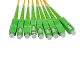 1x2 1x4 1x16 1x32 1x64 Fiber Optic Cable PLC Splitter 1U 19\" Rack Mount SC/APC Singlemode