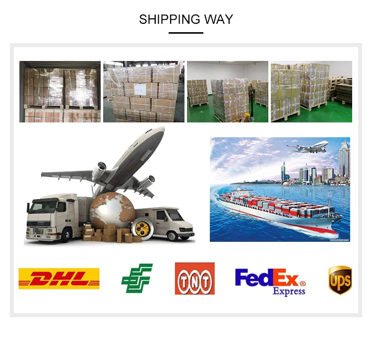 Single Mode OS2 Fiber Cable 12 MPO/MTP to SC/UPC/APC Fanout Patch Cord with Standard Loss for 4G/5G WiFi and 3G Networks 12