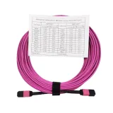 MPO OM4 50/125 Multimode Cable LSZH for WiFi 4G & 3G Networks Fiber Optic Patch Cord/Jumpe