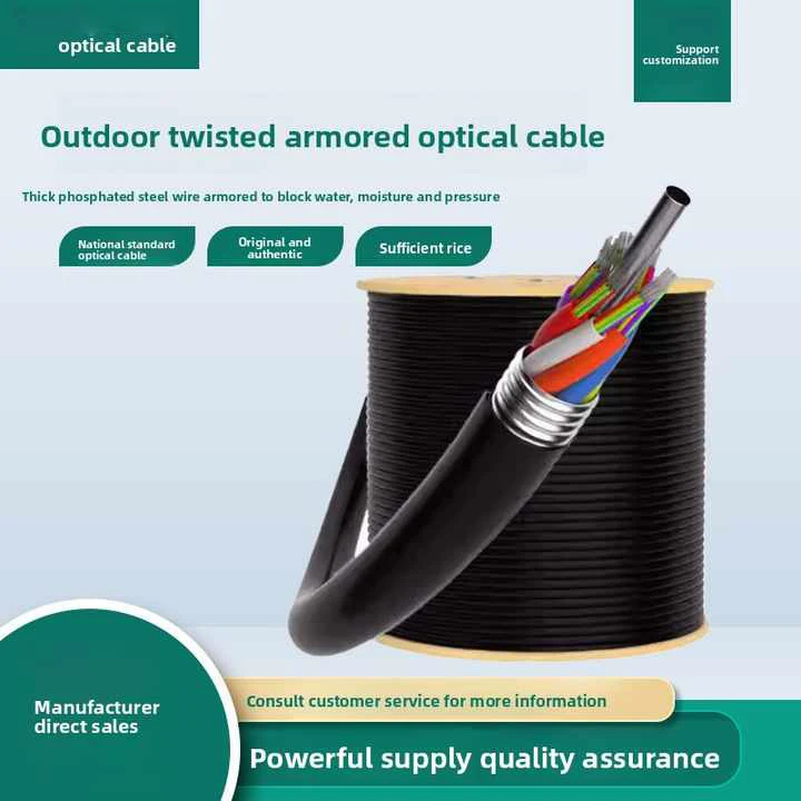 Outdoor Single-Mode Copper Conductor Fiber Optic Cable 12/24/48/144/288 Core Armored Gyta/