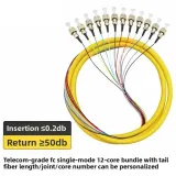 Carrier-Grade Fc Single-Mode 12-Core Bundled Pigtail Flange Plate Fiber Optic Cable for FT