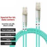 Telecom Grade 10G Anti-Mouse Bite Armored LC-LC 50/125 OM3 Industrial Use Dual Core Multi-