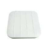 AP3010DN-V2-FAT AP3000 Series access point long range