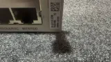 H W 03021UEU H801MCUD101