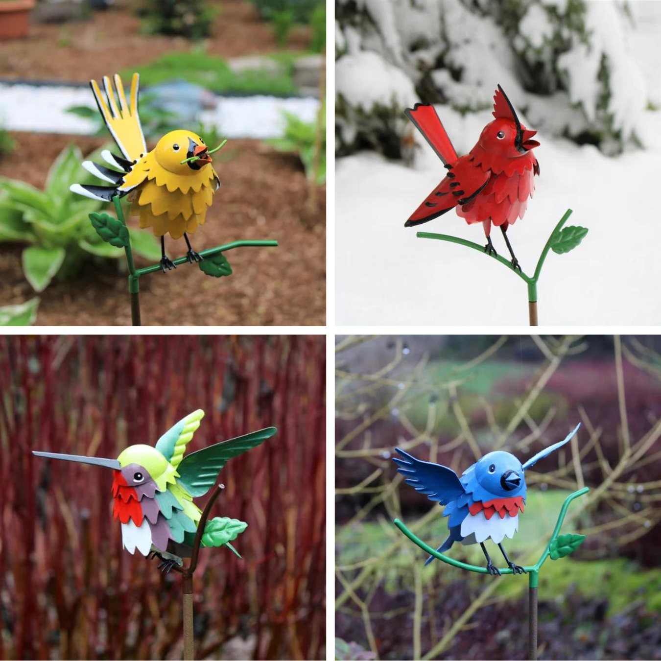 Goldfinch, Cardinal, Western Bluebird, Ruby-throated Hummingbird on a garden stake