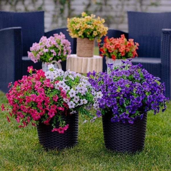 garden decoration
