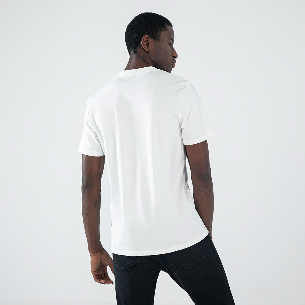 TS 100 White
