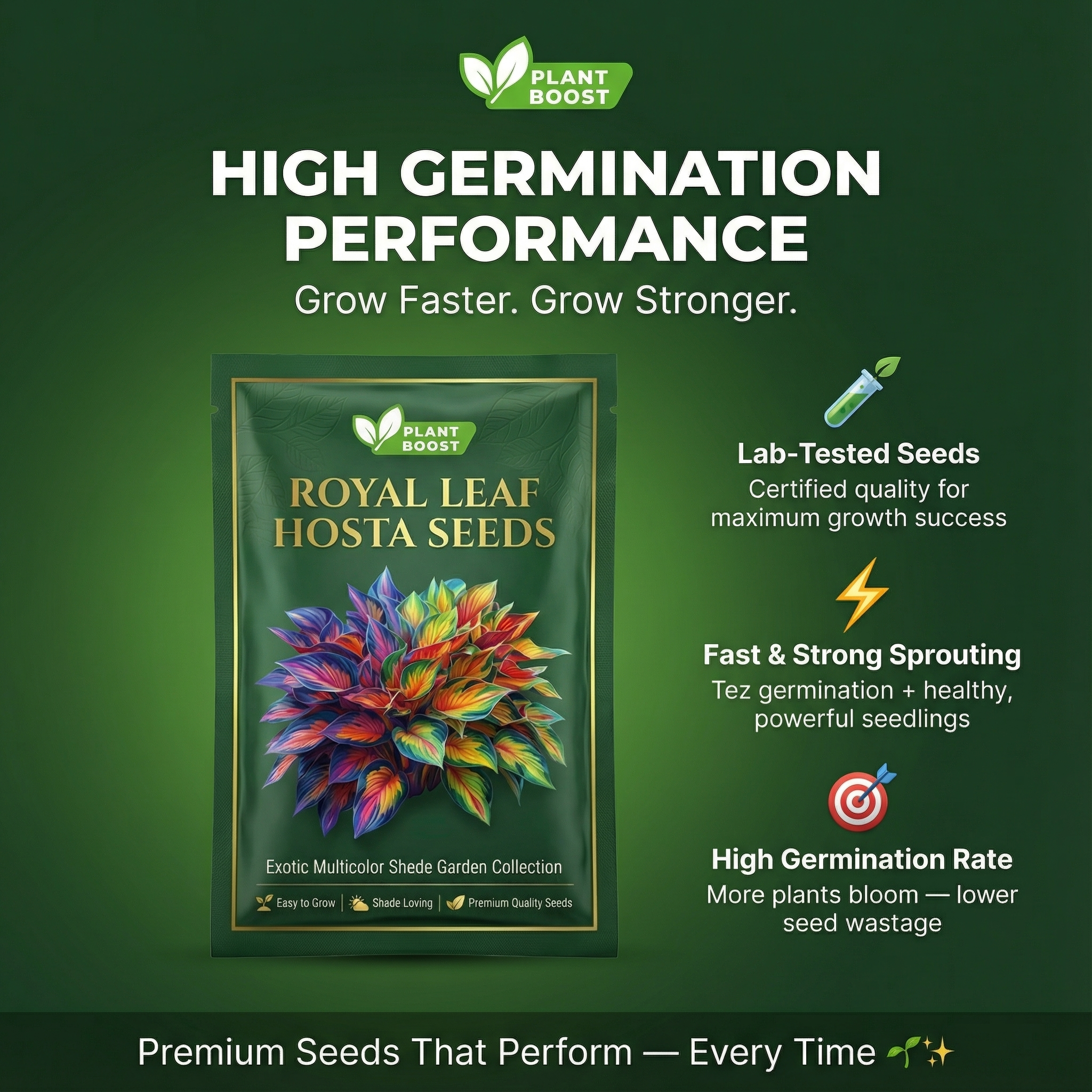 💥LAST DAY SALE 40% OFF💥🌿Premium Rare Hosta Seeds