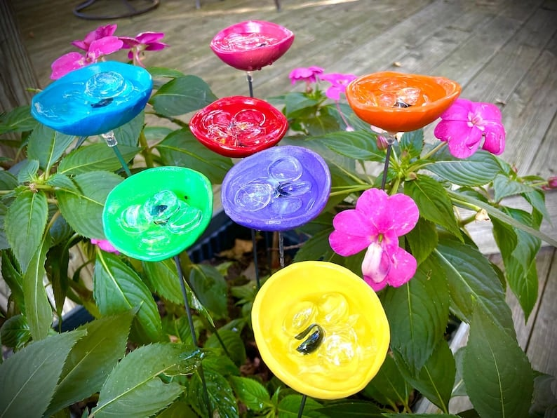 Bee Watering Station, Butterfly Puddler, Hummingbird Drinking Cups