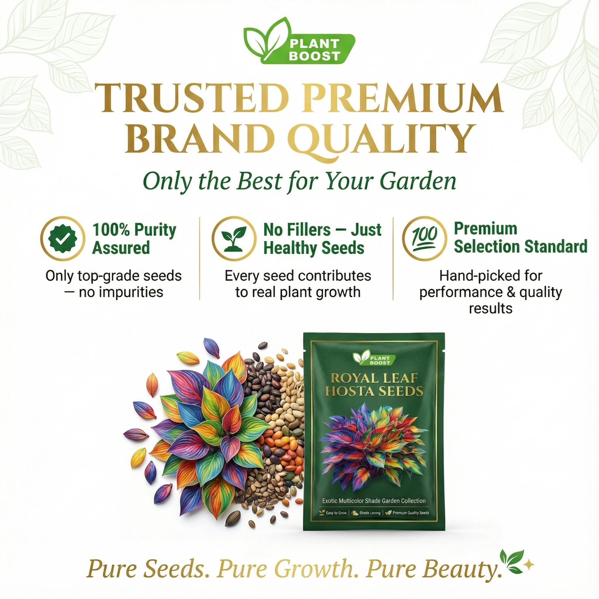 💥LAST DAY SALE 40% OFF💥🌿Premium Rare Hosta Seeds