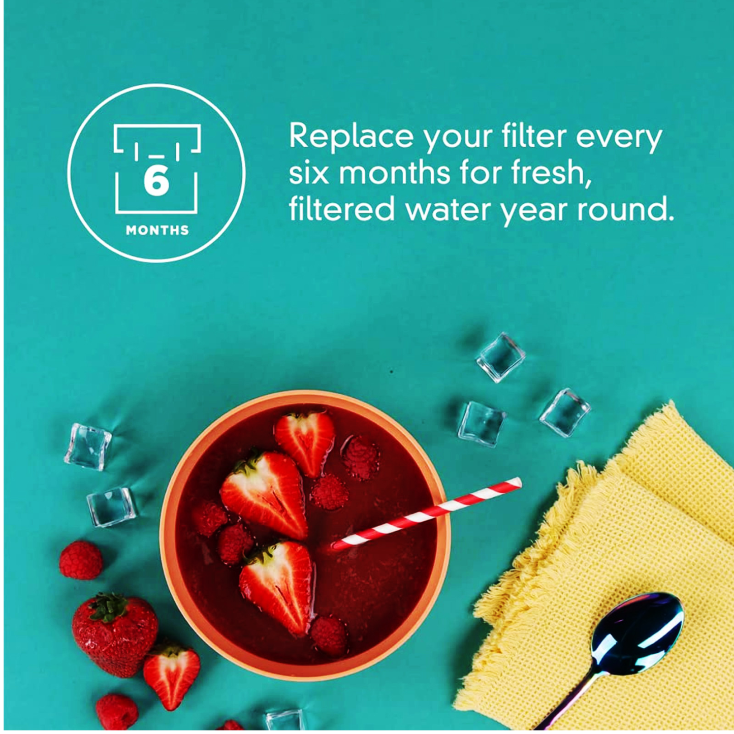 Ice Filter F2WC9I1, Ice2 Maker W10565350