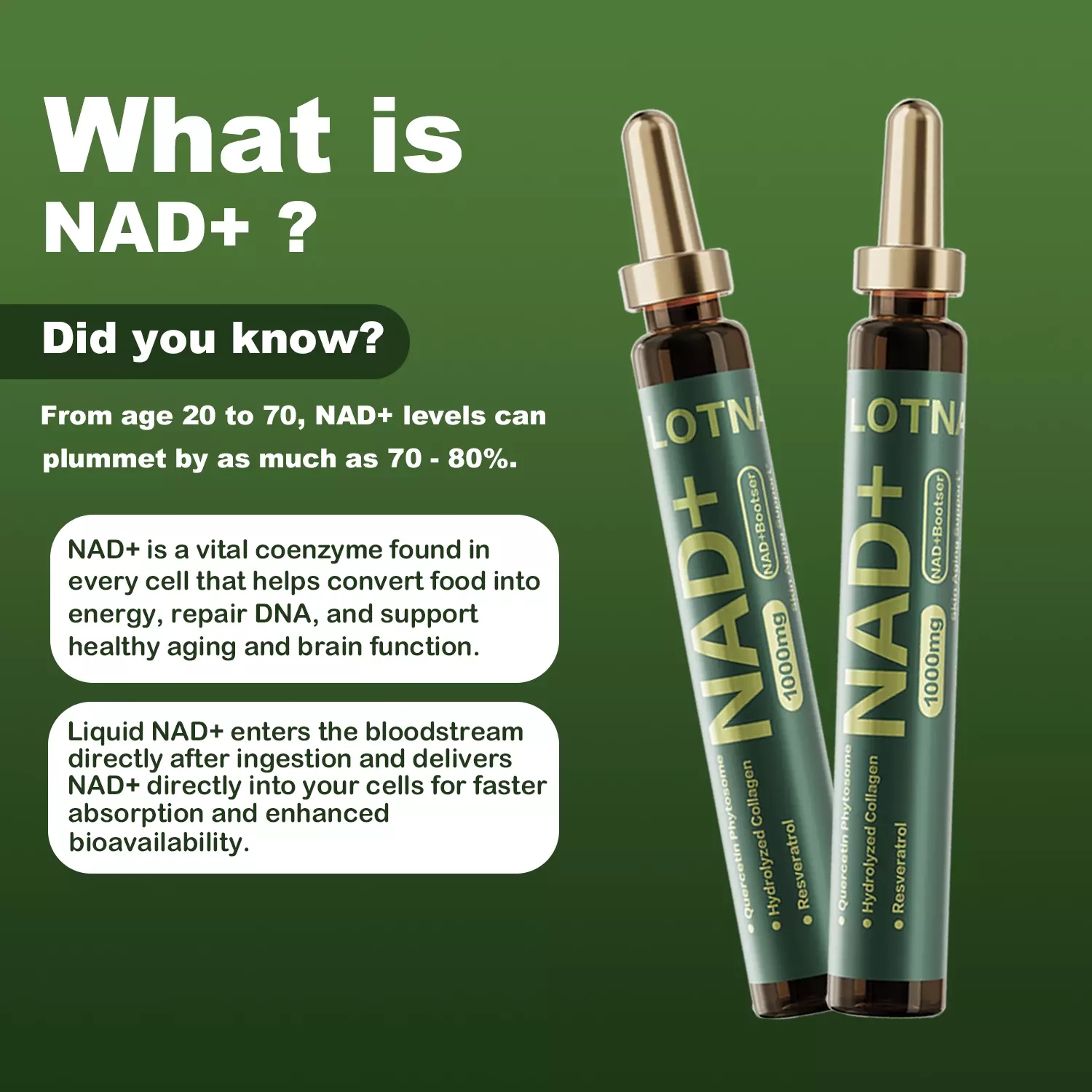 NAD+ Cellular Energy Supplement with Nicotinamide Riboside, Resveratrol, CoQ10, D-Ribose, Berry Flavor, 10 Vials