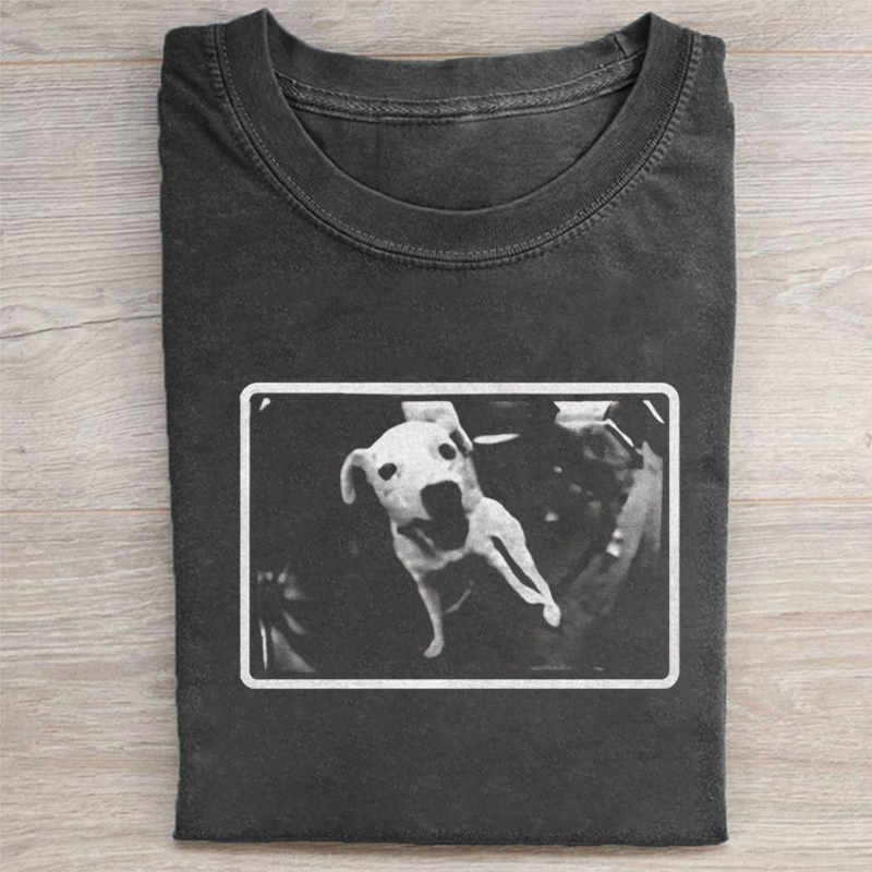 Vintage Dog Meme T-shirt - Vintage Washed Apparel by VanceMade
