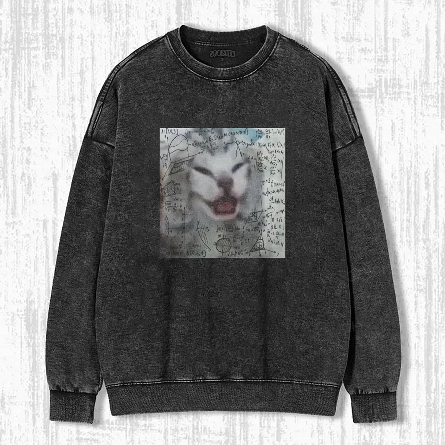 CAT MEME ICON SWEATSHIRTS-ShawnCraft