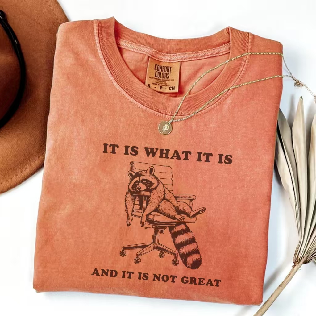 It Is What It Is And It Is Not Great T-Shirt-ShawnCraft