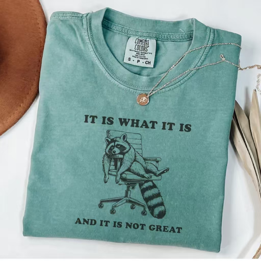 It Is What It Is And It Is Not Great T-Shirt-ShawnCraft
