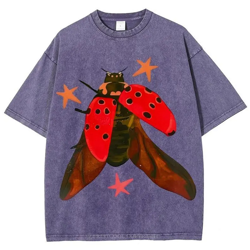 Ladybug Vintage Celestial Insect T-shirt
