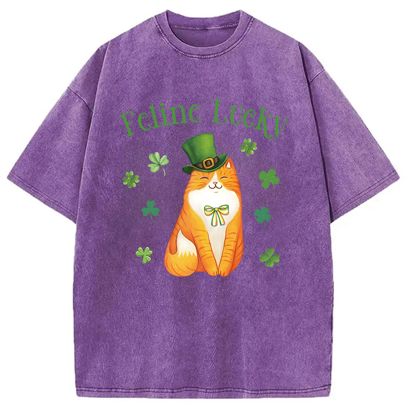 Lucky Irish Cat Washed T-Shirt-ShawnCraft