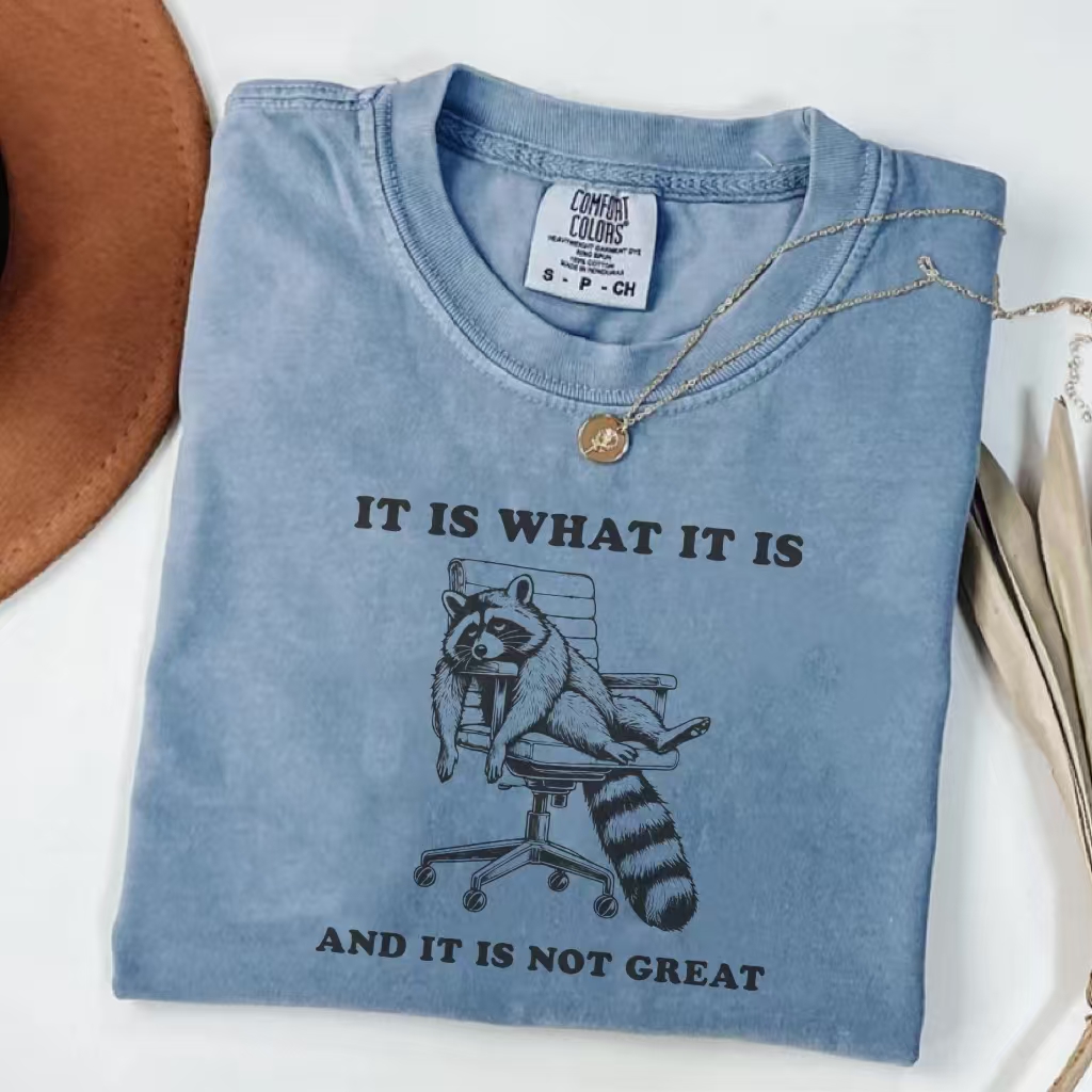 It Is What It Is And It Is Not Great T-Shirt-ShawnCraft