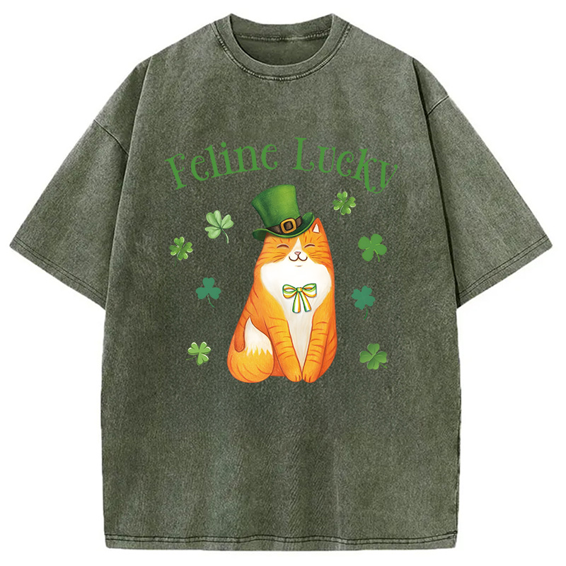 Lucky Irish Cat Washed T-Shirt-ShawnCraft