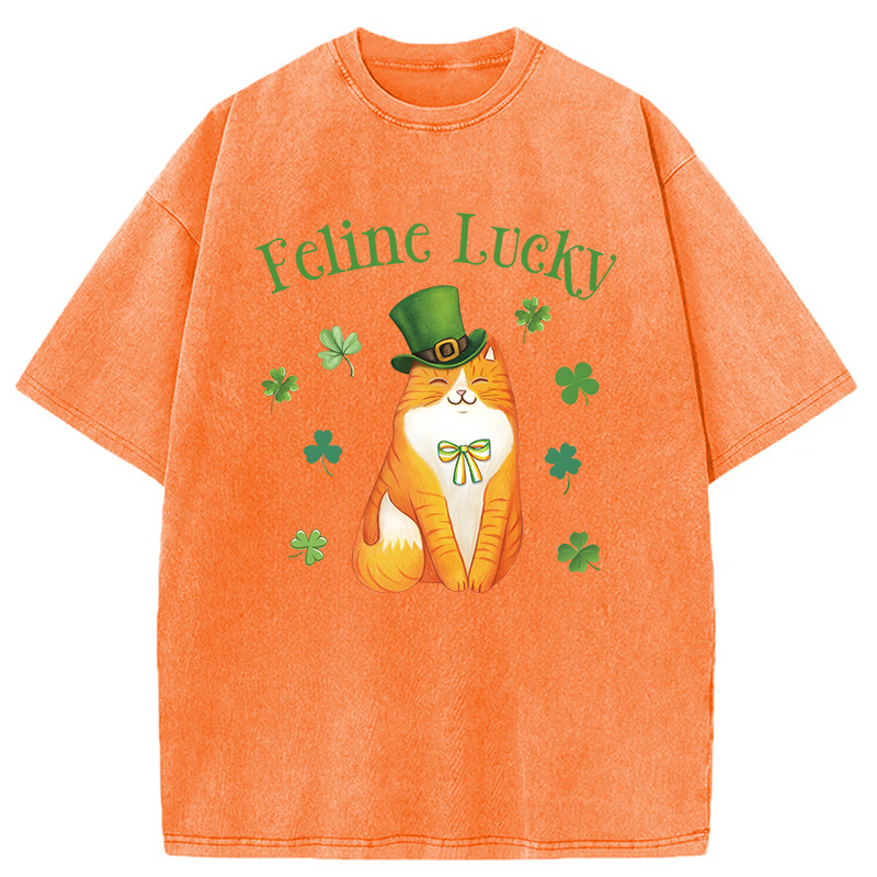 Lucky Irish Cat Washed T-Shirt-ShawnCraft