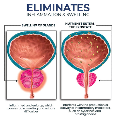 Artboard2 69ce25b7 2d38 4793 95ea 81eaeb52b11d