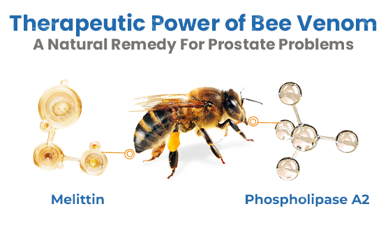 7 5634accc be47 4d38 9294 d4efb54981f2