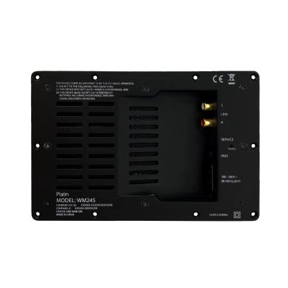 WM245 - WiSA Endorsed - 2x40W DSP Stereo-amp