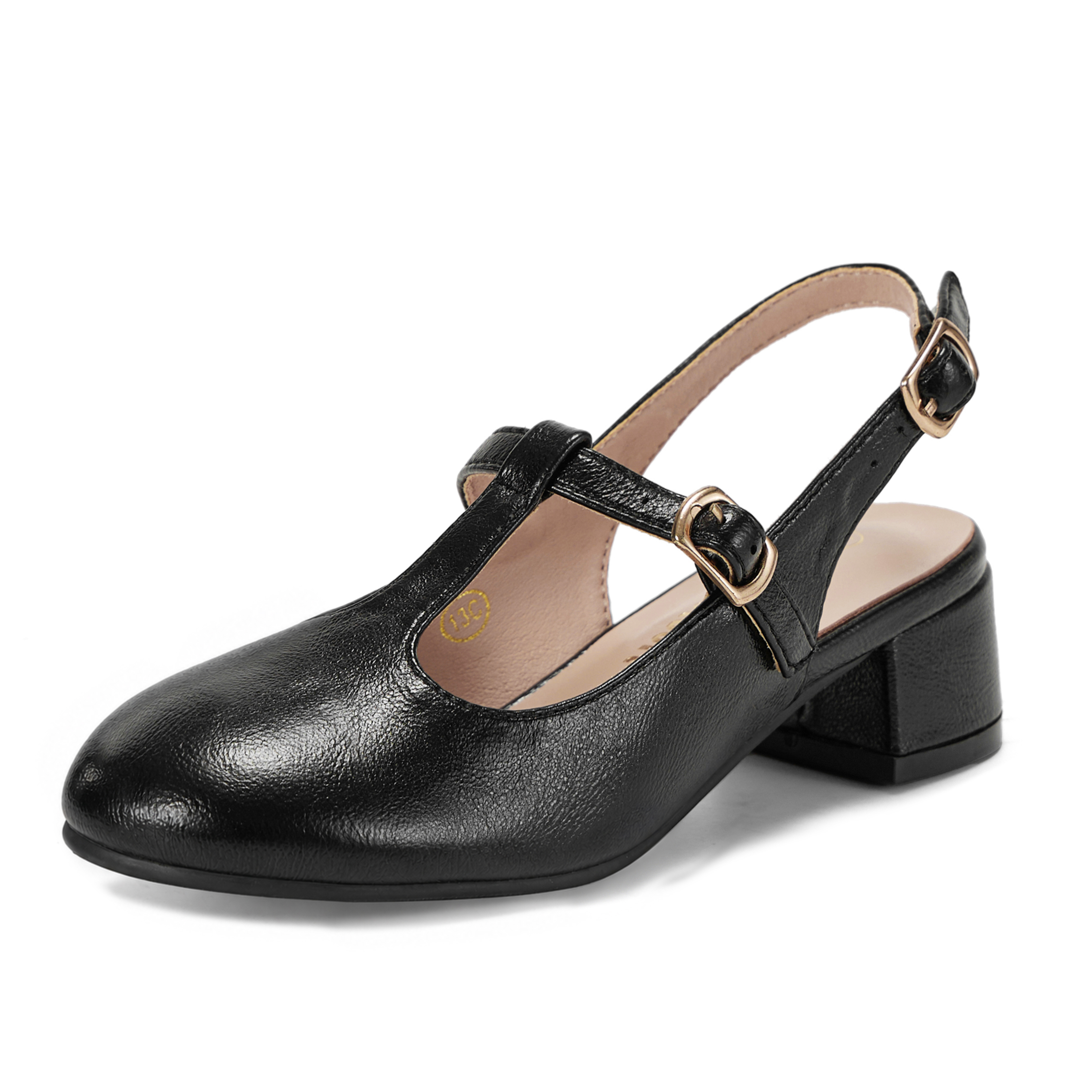 Girls Lambskin Insole Mary Jane Pumps T-Strap Slingback Shoes Cute Closed Toe Dress Shoes Low Block Heel Comfortable for Vacation Festival Party School and Daily Wear