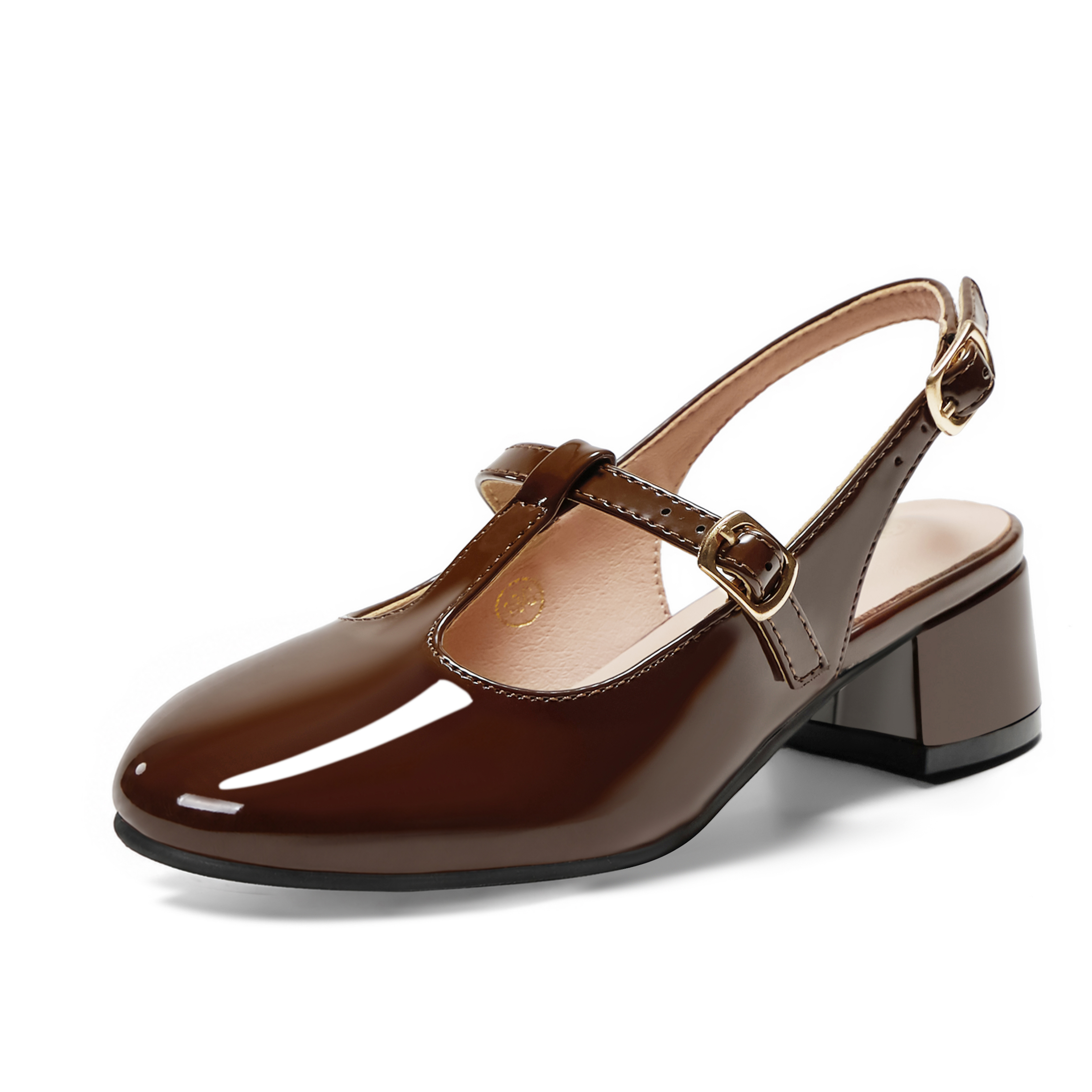 Girls Lambskin Insole Mary Jane Pumps T-Strap Slingback Shoes Cute Closed Toe Dress Shoes Low Block Heel Comfortable for Vacation Festival Party School and Daily Wear