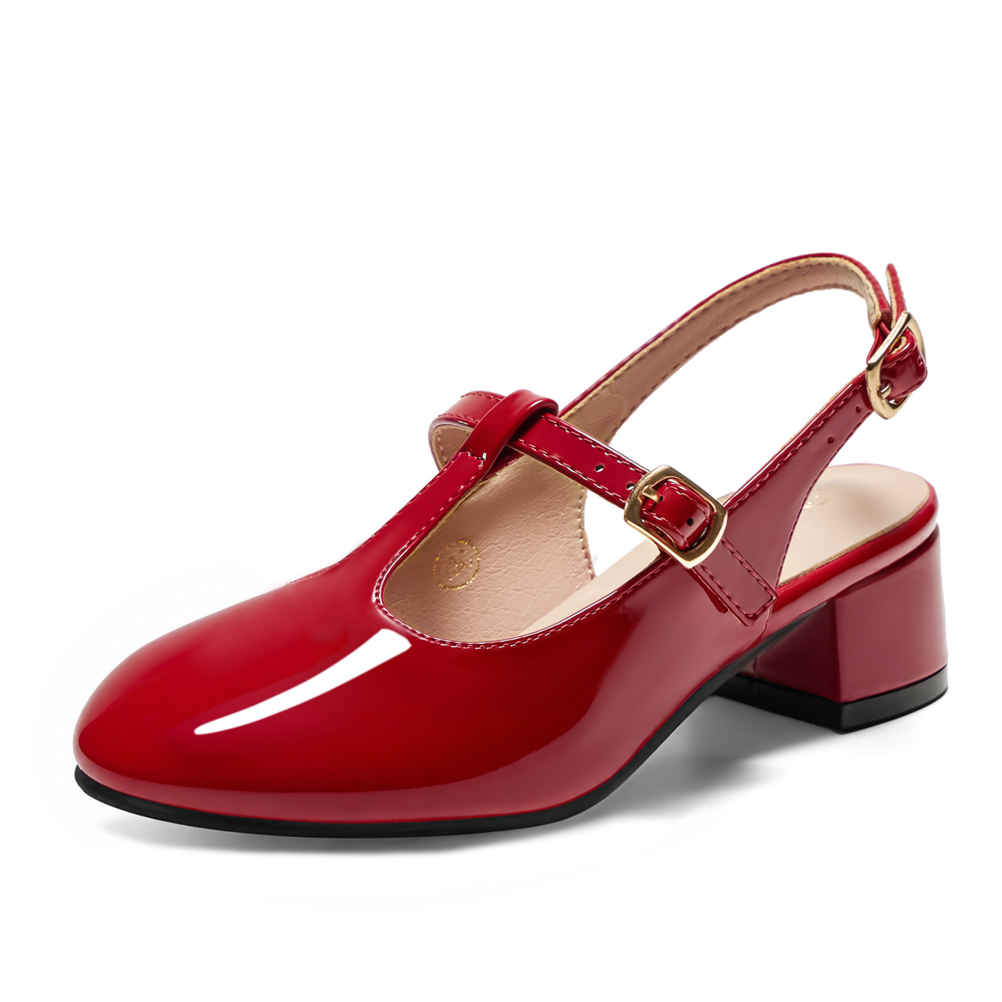Girls Lambskin Insole Mary Jane Pumps T-Strap Slingback Shoes Cute Closed Toe Dress Shoes Low Block Heel Comfortable for Vacation Festival Party School and Daily Wear