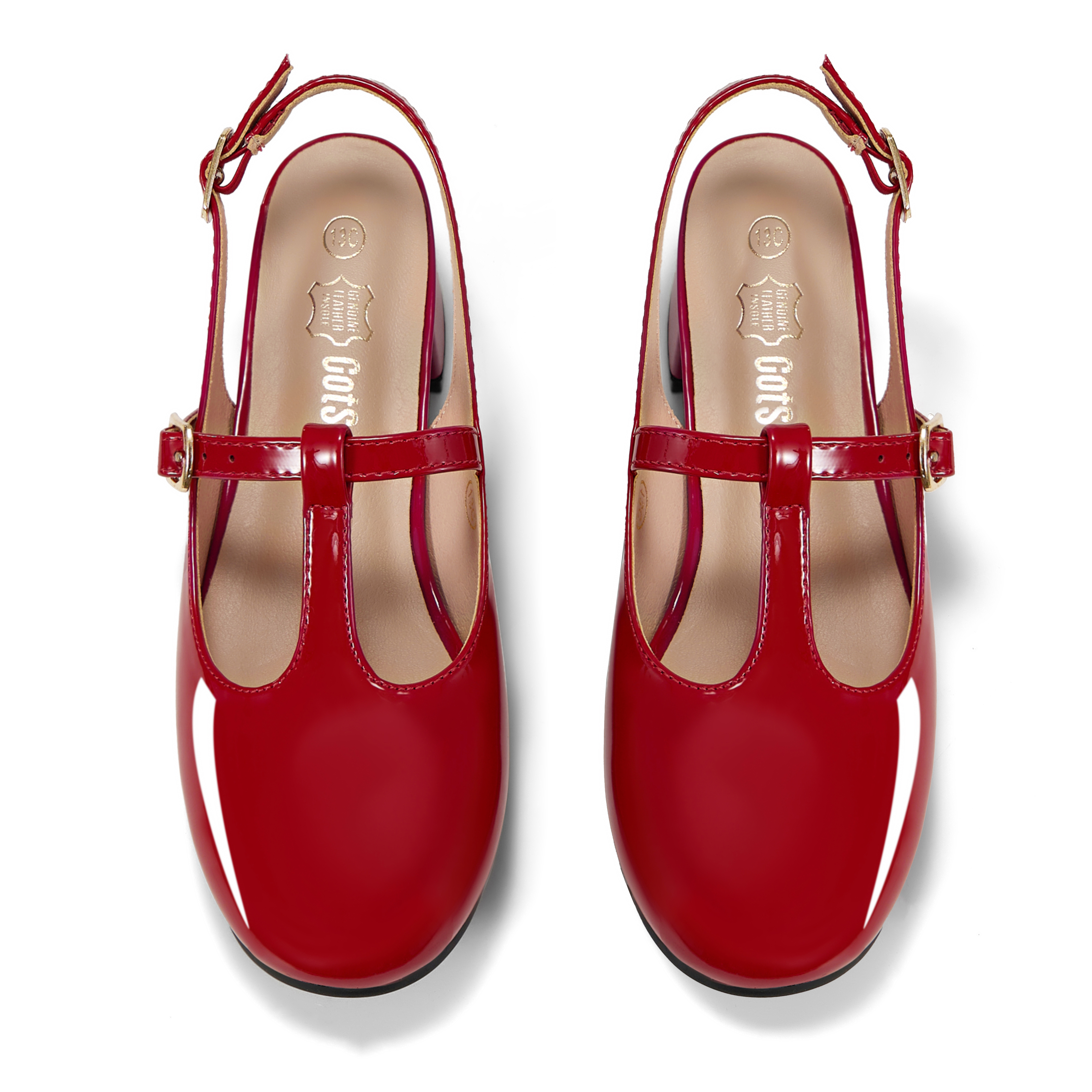 Girls Lambskin Insole Mary Jane Pumps T-Strap Slingback Shoes Cute Closed Toe Dress Shoes Low Block Heel Comfortable for Vacation Festival Party School and Daily Wear