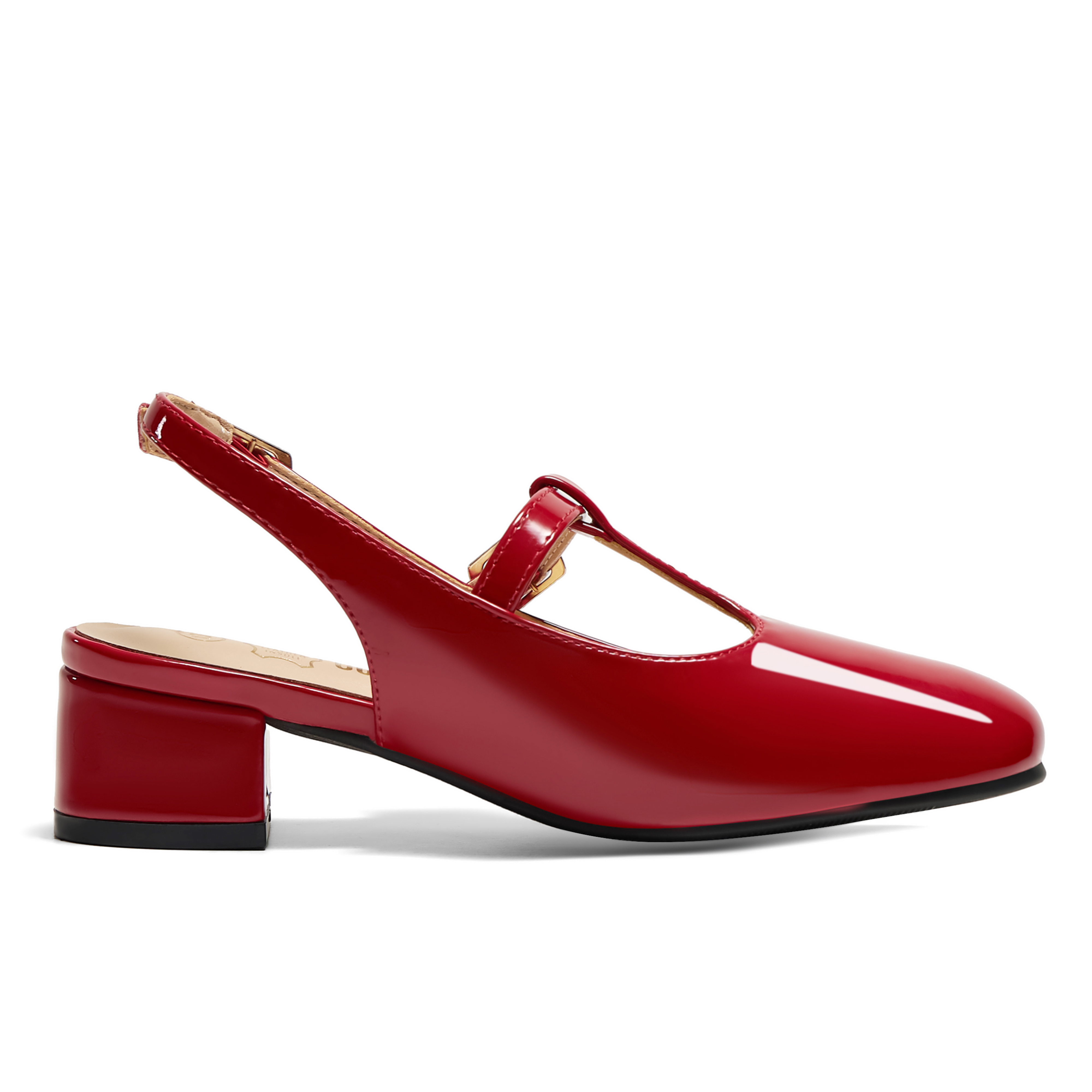 Girls Lambskin Insole Mary Jane Pumps T-Strap Slingback Shoes Cute Closed Toe Dress Shoes Low Block Heel Comfortable for Vacation Festival Party School and Daily Wear