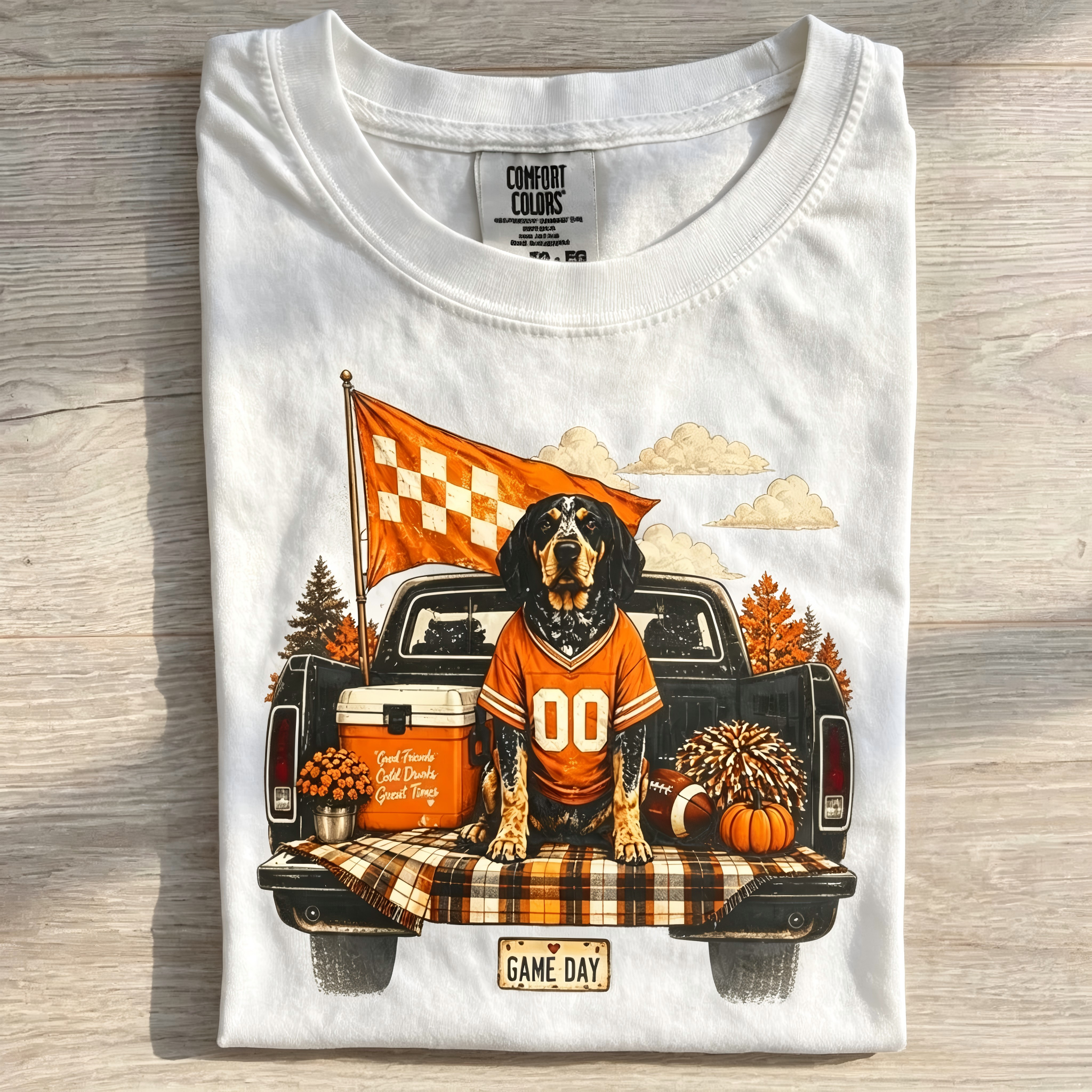 Rocky top Tennessee T-shirt