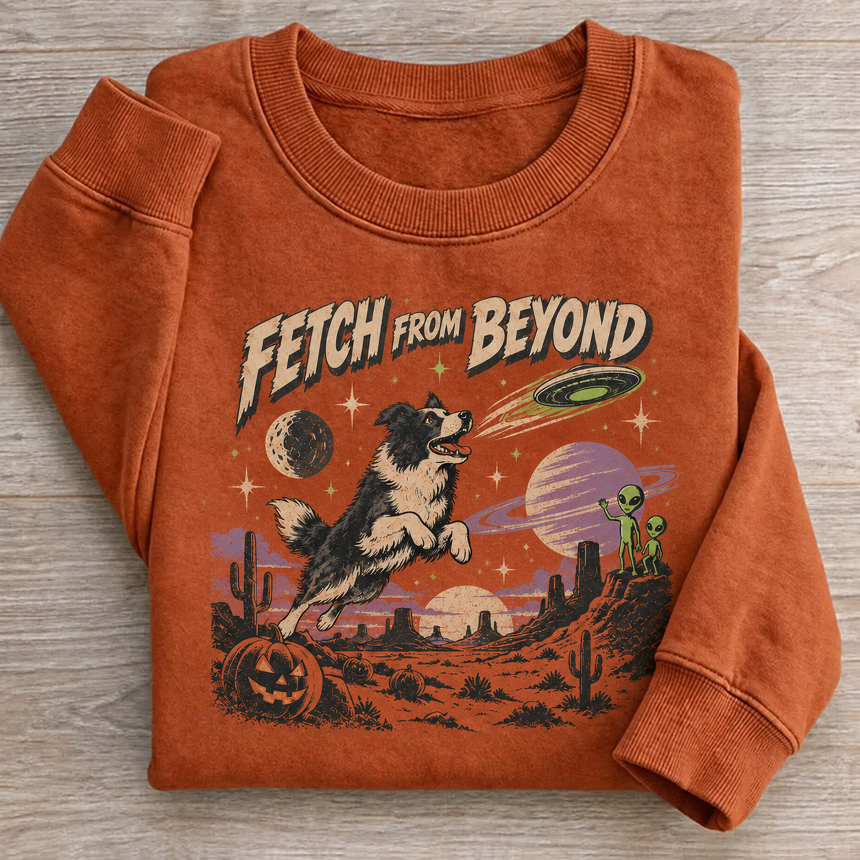 Border Collie Fetch From Beyond Sweatshirt