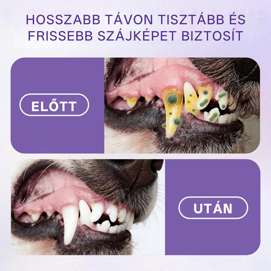 🌟 Hivatalos áruház | TTopy™ Cink-glükonát szájspray kisállatoknak-🌿
