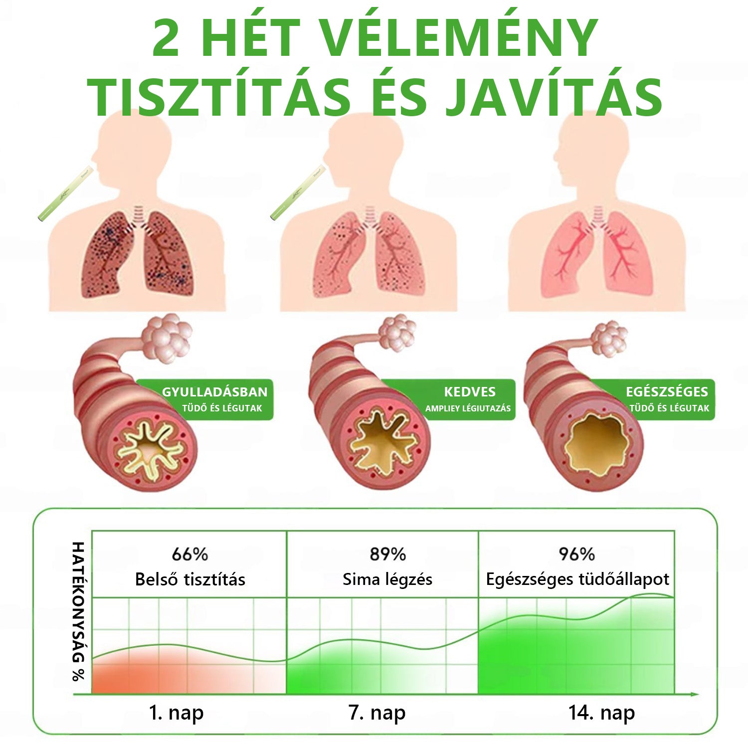 Magyar tulajdonban és üzemeltetésben ✅ Murwon® botanikus ökörfarkkóró (Mullein) tüdőtisztító diffúzor (🫁 köhögés, garatgyulladás, légszomj, köpet, orrdugulás, hörghurut, hörghurut, allergiás tünetek, tüdő diszkomfort) 💚