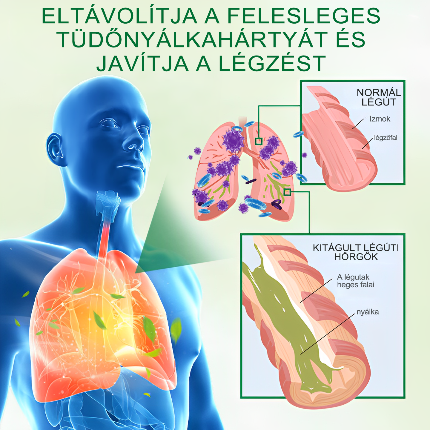 🍈🍈𝐆𝐨𝐨𝐲𝐞𝐞𝐫™ Fejlett Tüdőtisztító Spray -Támogatja a tüdő, a hörgők és az orrmelléküregek egészségét, elősegíti a légzőrendszer egészségét és a könnyebb légzést