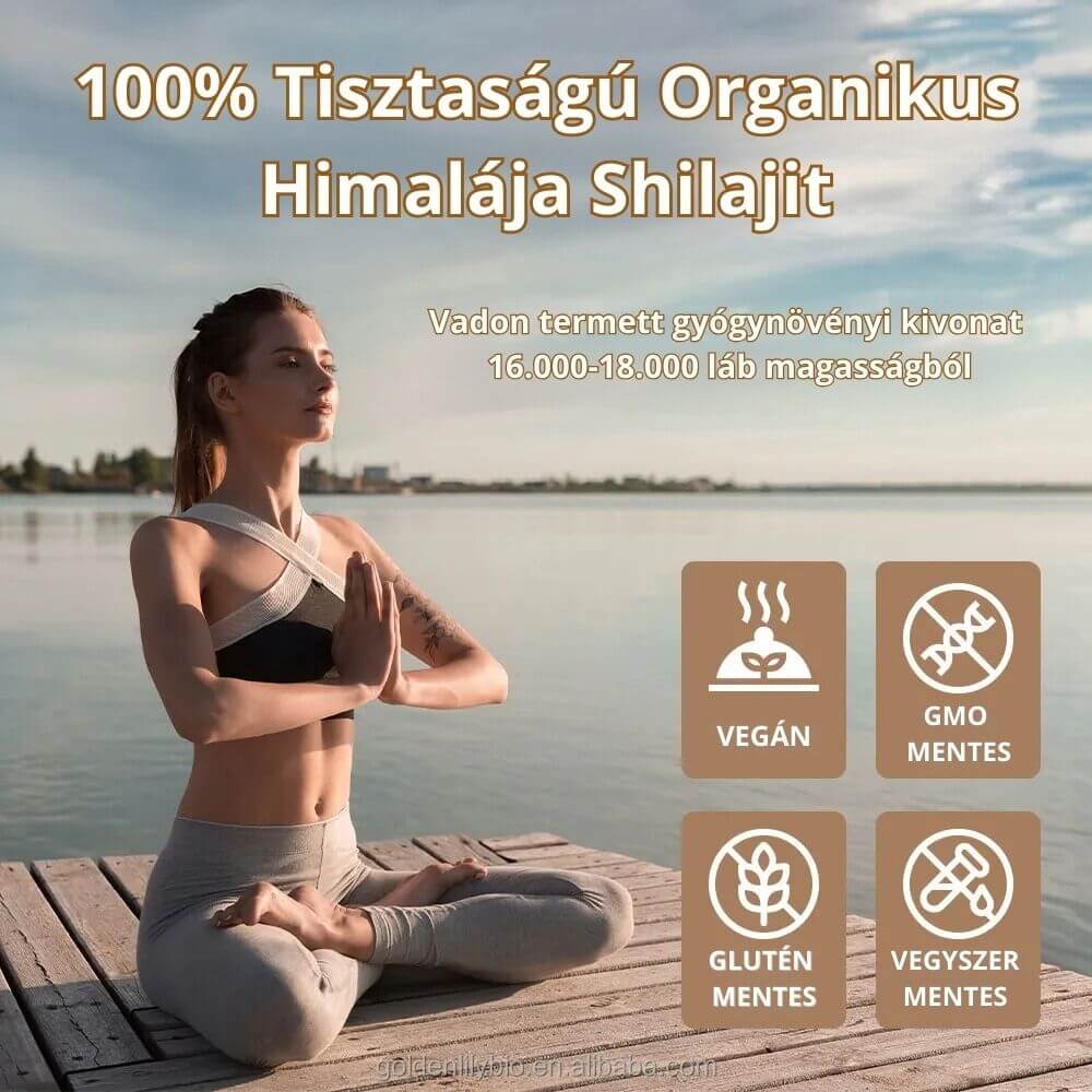 Himalája Shilajit - 85+ ásványi anyaggal (60G)🥇 6000+ gyógynövény ereje egyetelen dobozban