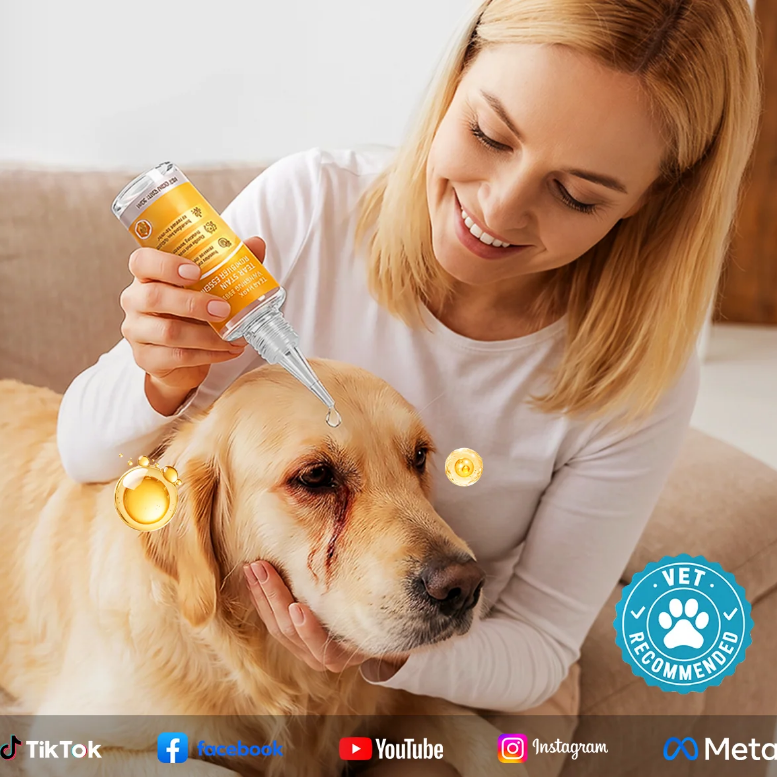 🐶 Gyengéd szemkörnyékápolás háziállatoknak ✨ ✅ Több ezer állattartó kedvence