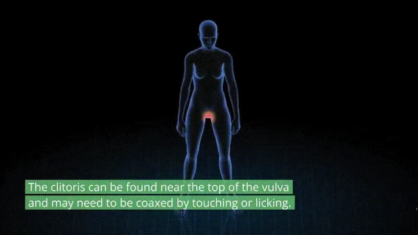 Luniva Device